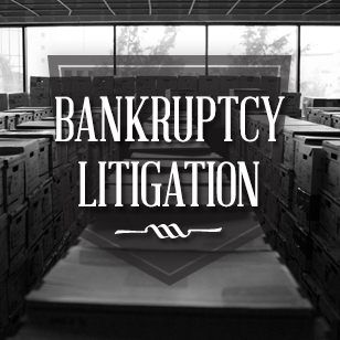 Bankruptcy / Reorganization Litigation